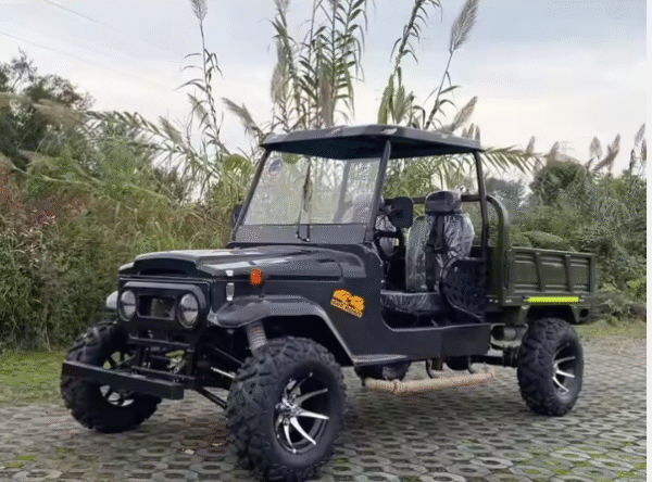"Off Road Buggy Customized Vehicle Pick up Truck Mini Jeep Scooter Cargo Box Electric jeep Cart "