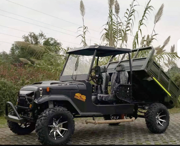 "Off Road Buggy Customized Vehicle Pick up Truck Mini Jeep Scooter Cargo Box Electric jeep Cart " - Image 3