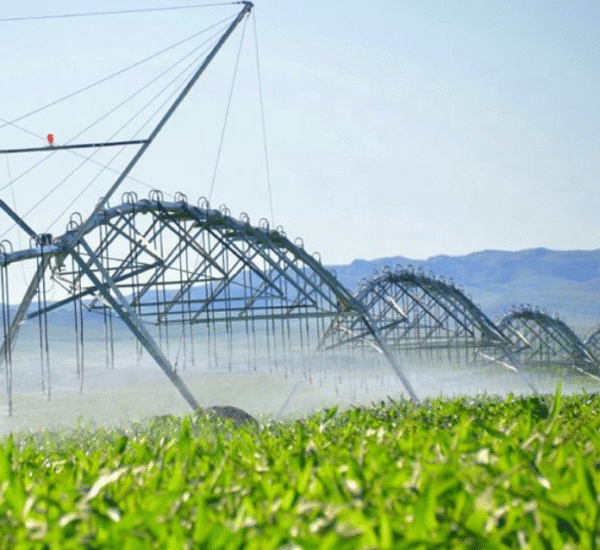 Electric Center Pivot Irrigation System/Lateral Move Linear Agricultural Sprinkler Irrigation - Image 3
